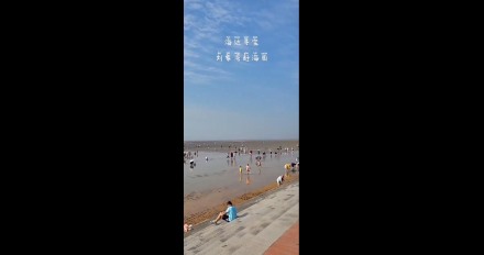 海邊尋寶，劉家灣趕海園—泰安金輝國(guó)旅